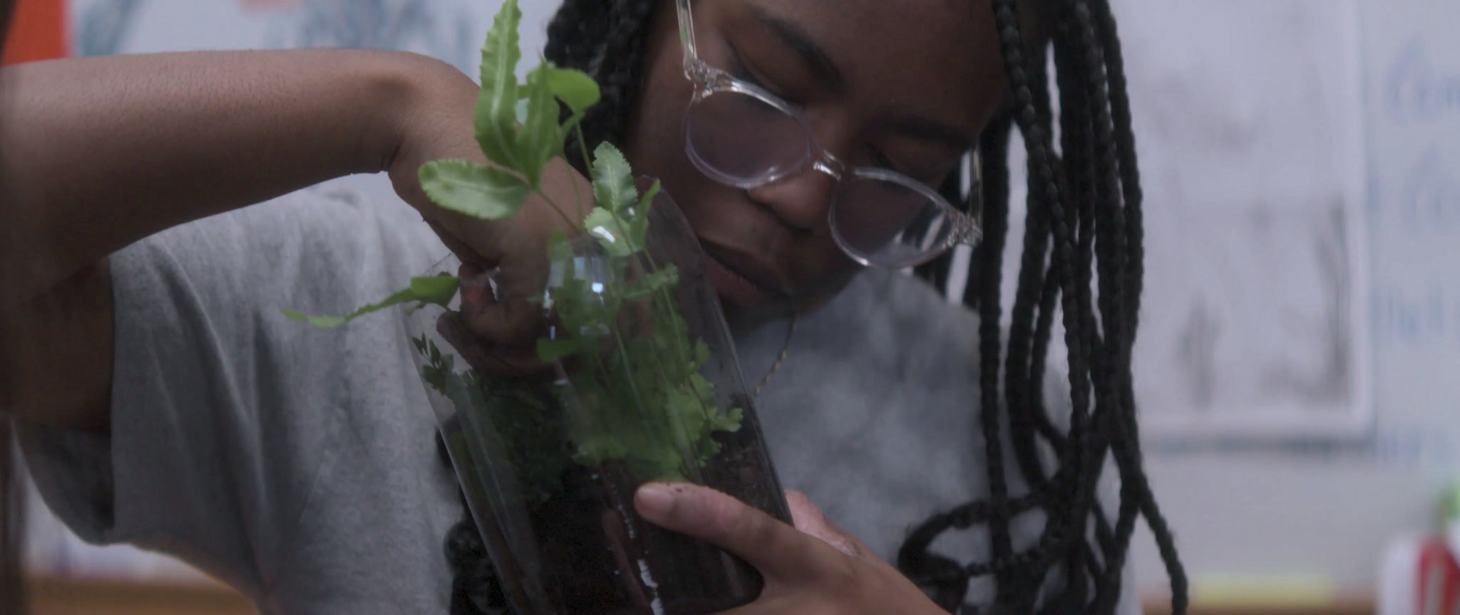 A student examining a plant specimen up close in science class